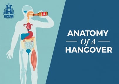 Anatomy of a Hangover