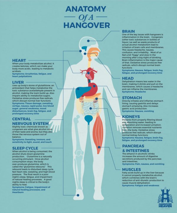 Anatomy of a Hangover— Hangover Heaven Las Vegas IV Specialists